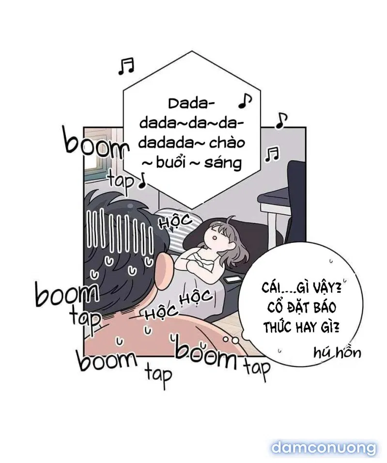 Toy Complex 
