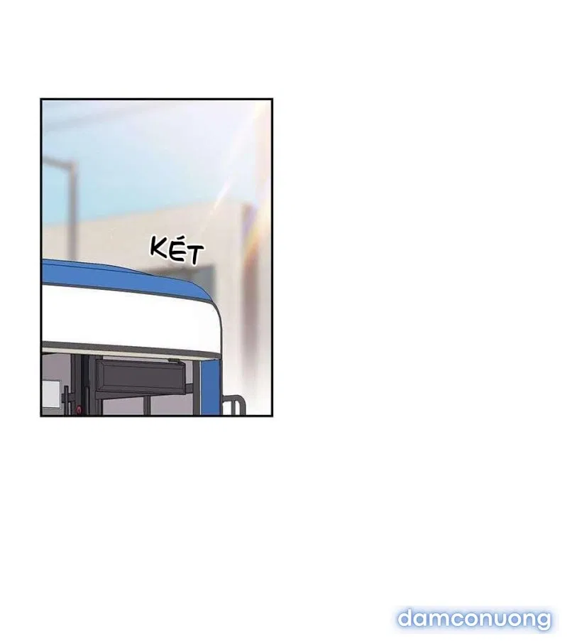 Toy Complex 