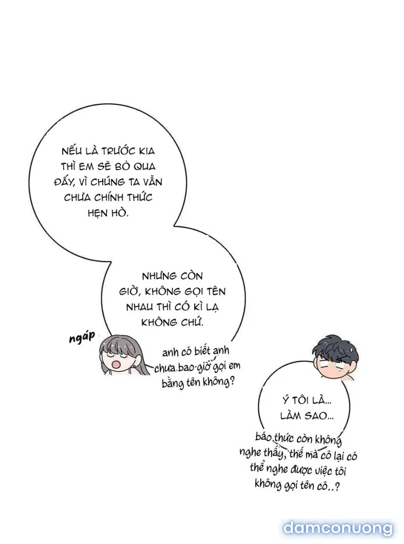 Toy Complex 