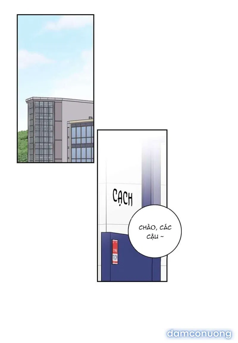 Toy Complex 
