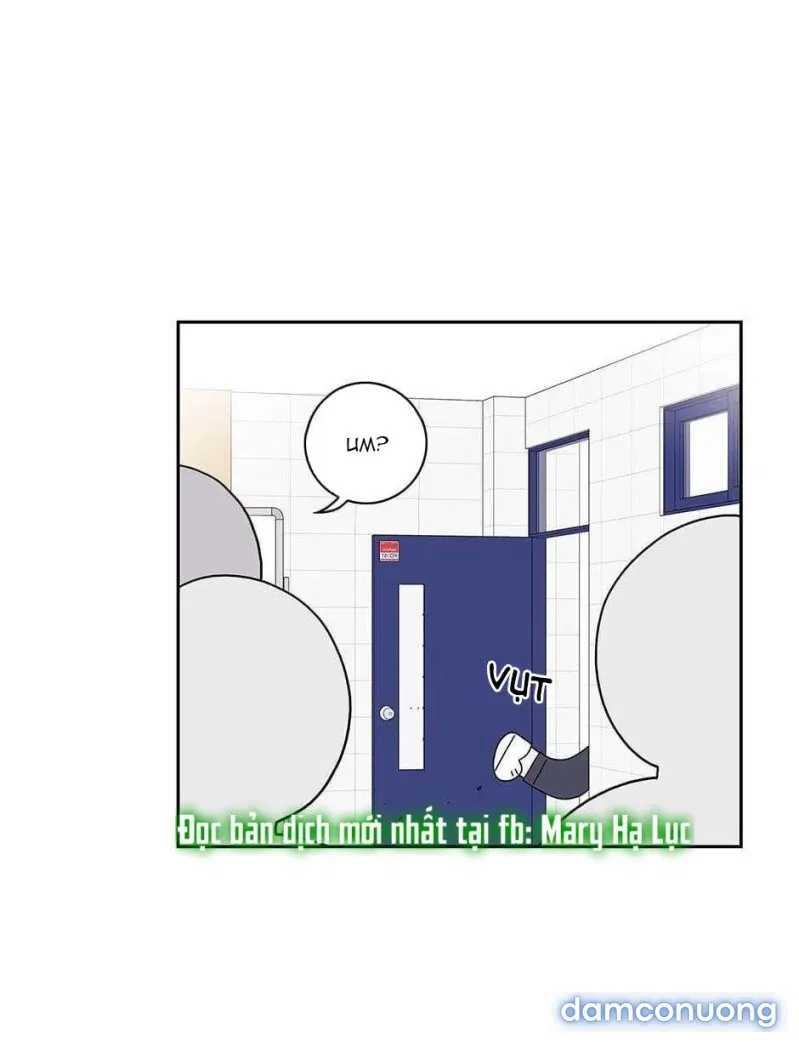 Toy Complex 
