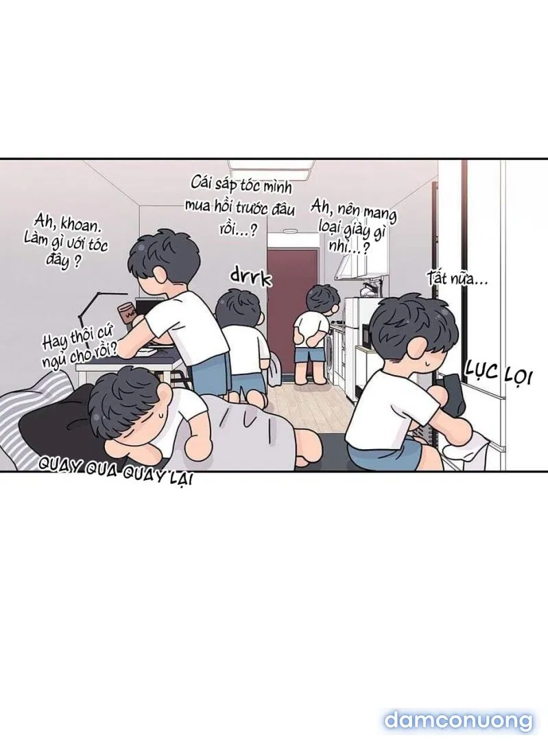 Toy Complex 