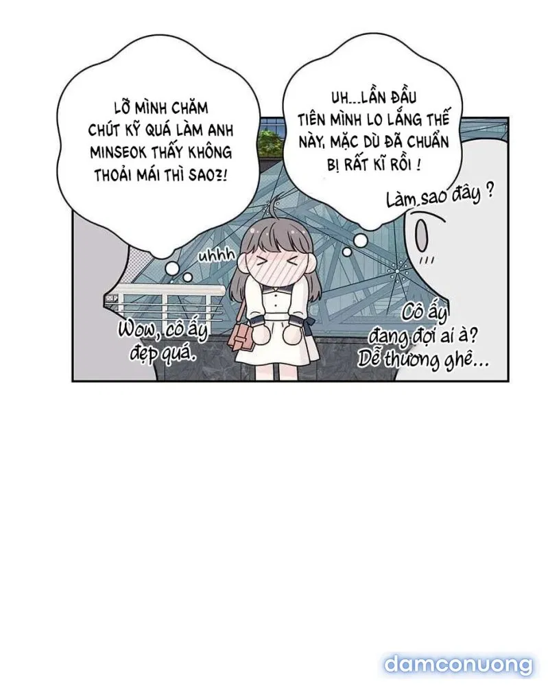 Toy Complex 