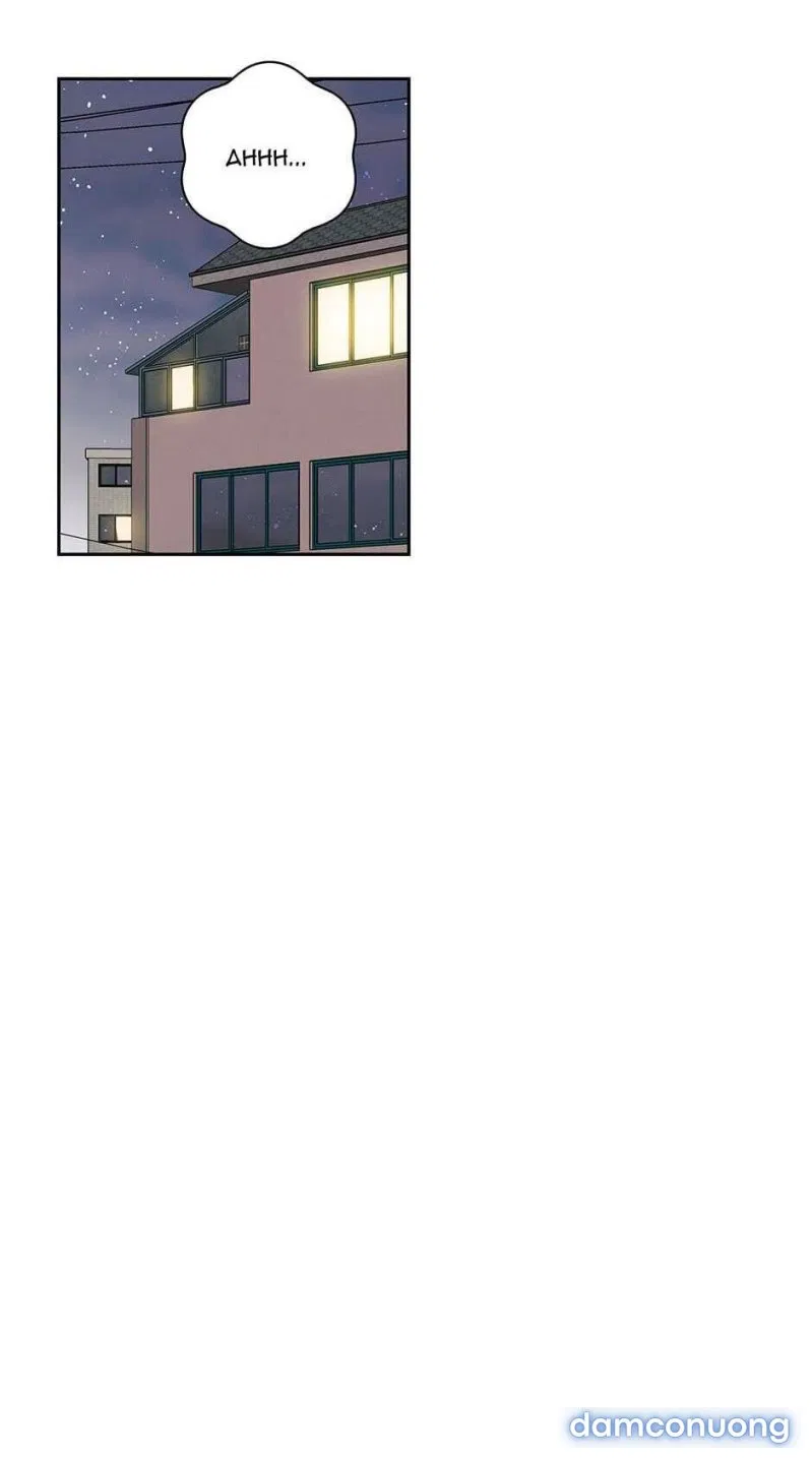 Toy Complex 