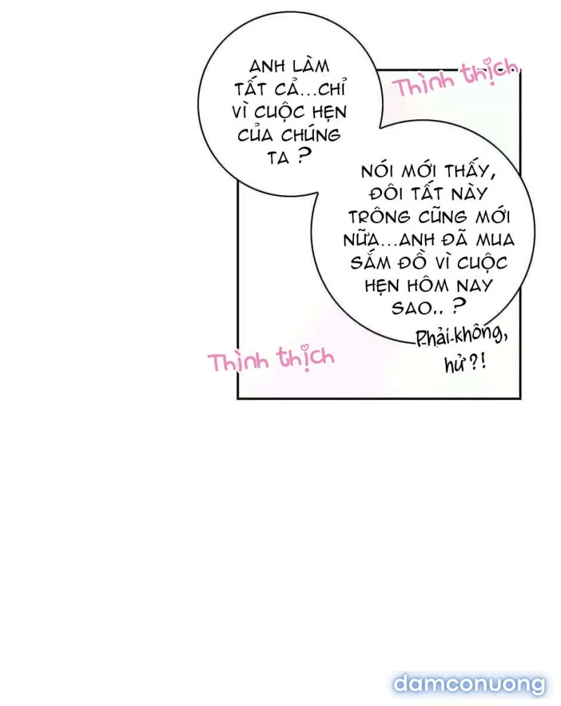 Toy Complex 