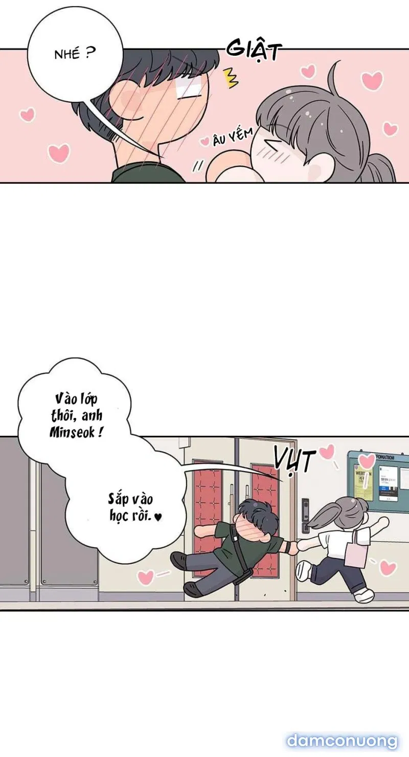 Toy Complex 