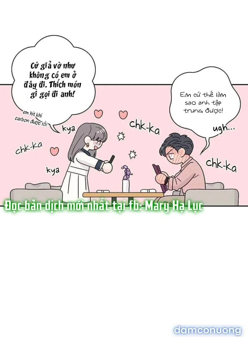 Toy Complex 