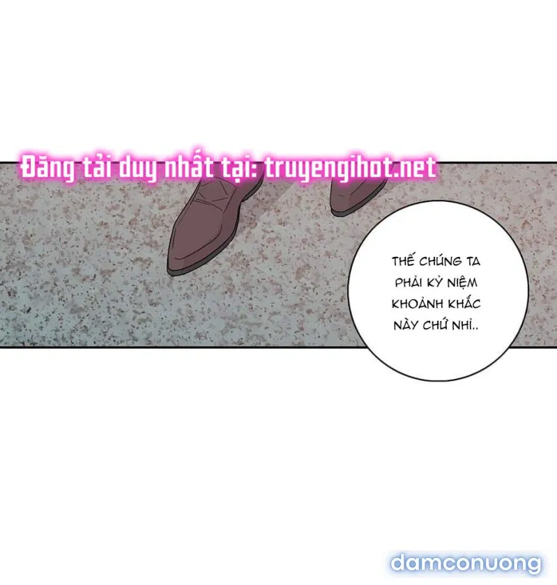 Toy Complex 