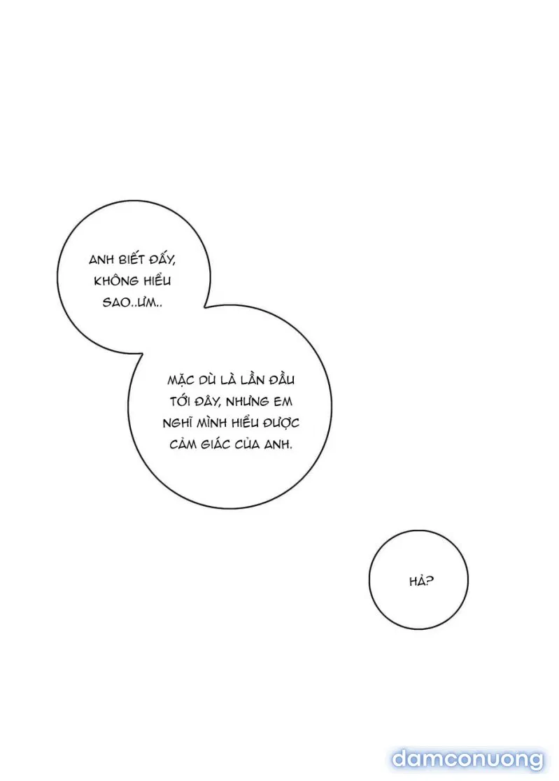 Toy Complex 