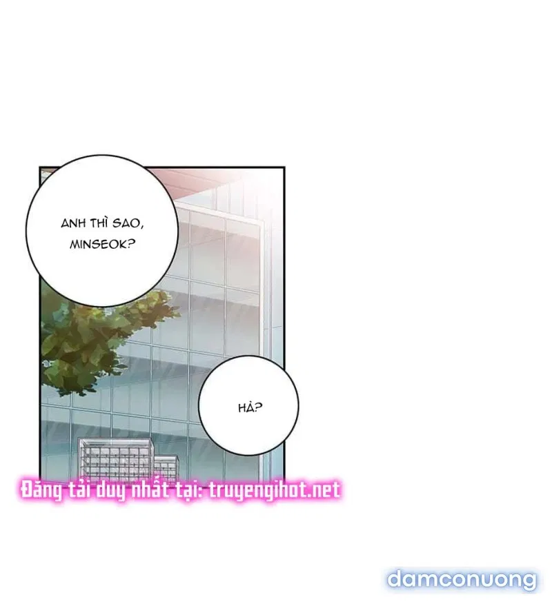 Toy Complex 