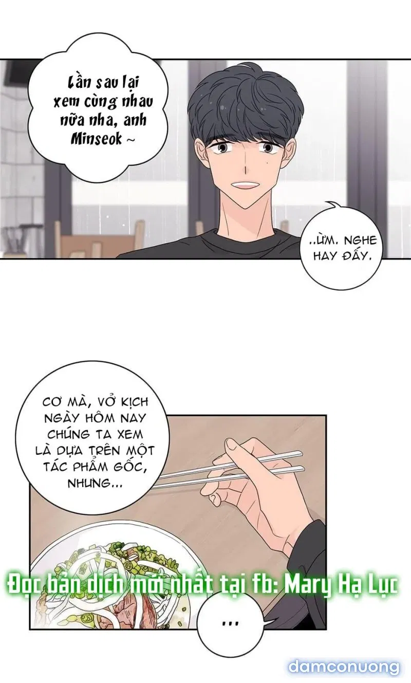 Toy Complex 