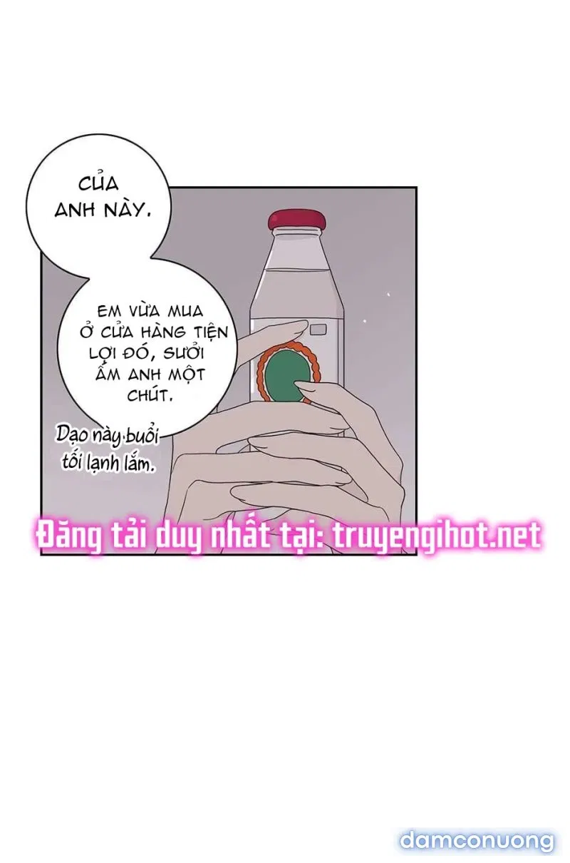 Toy Complex 