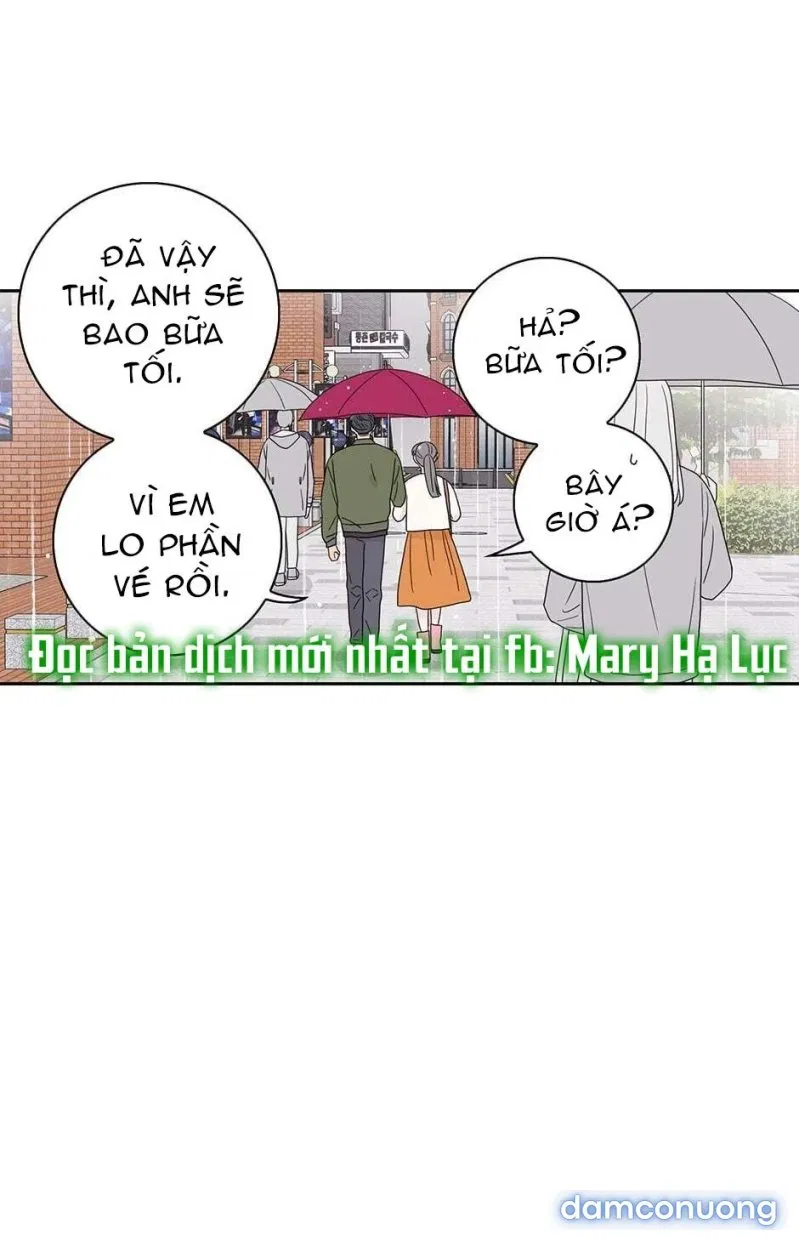 Toy Complex 