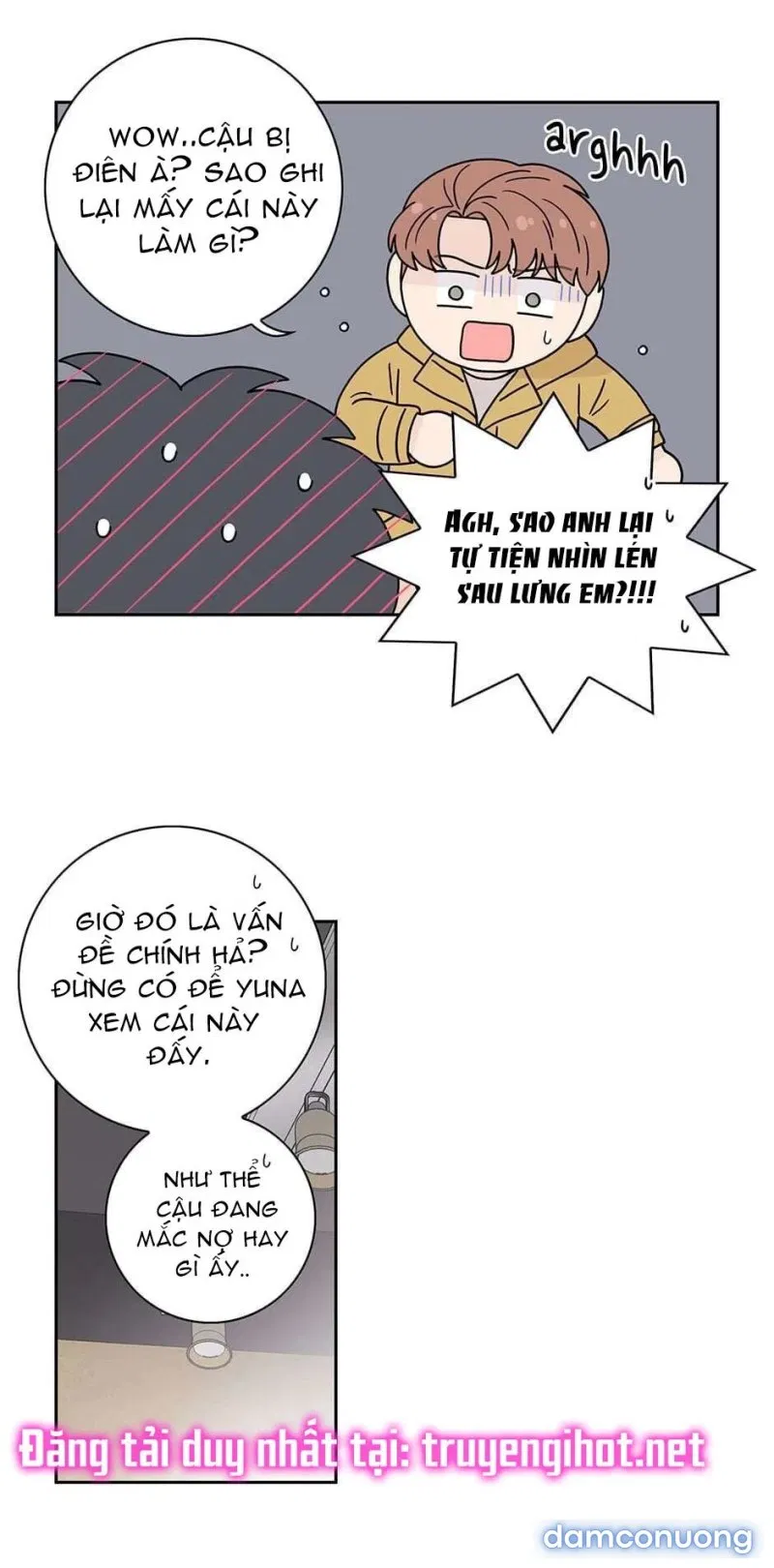 Toy Complex 