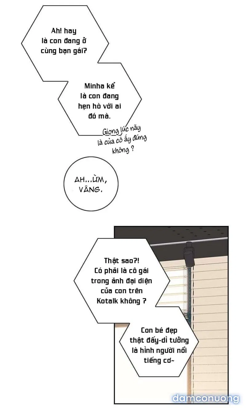 Toy Complex 