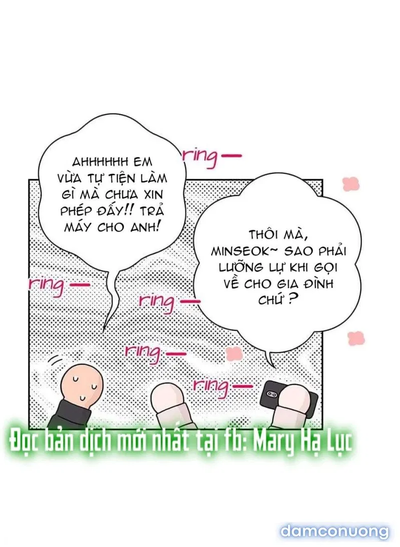 Toy Complex 