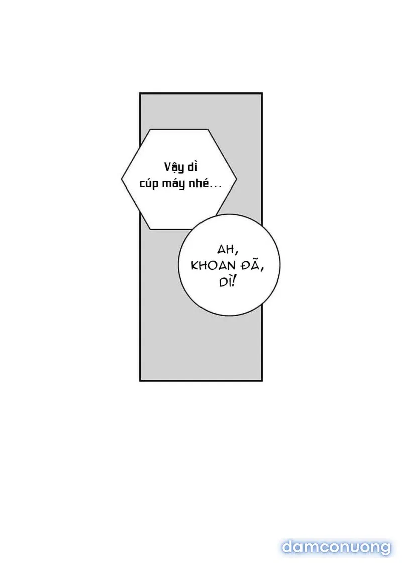 Toy Complex 