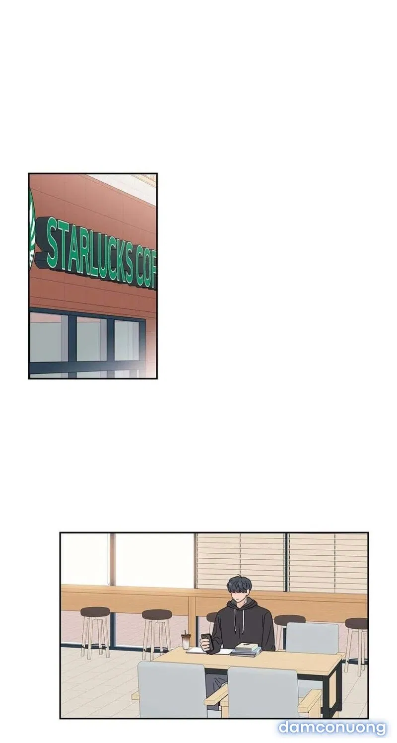 Toy Complex 