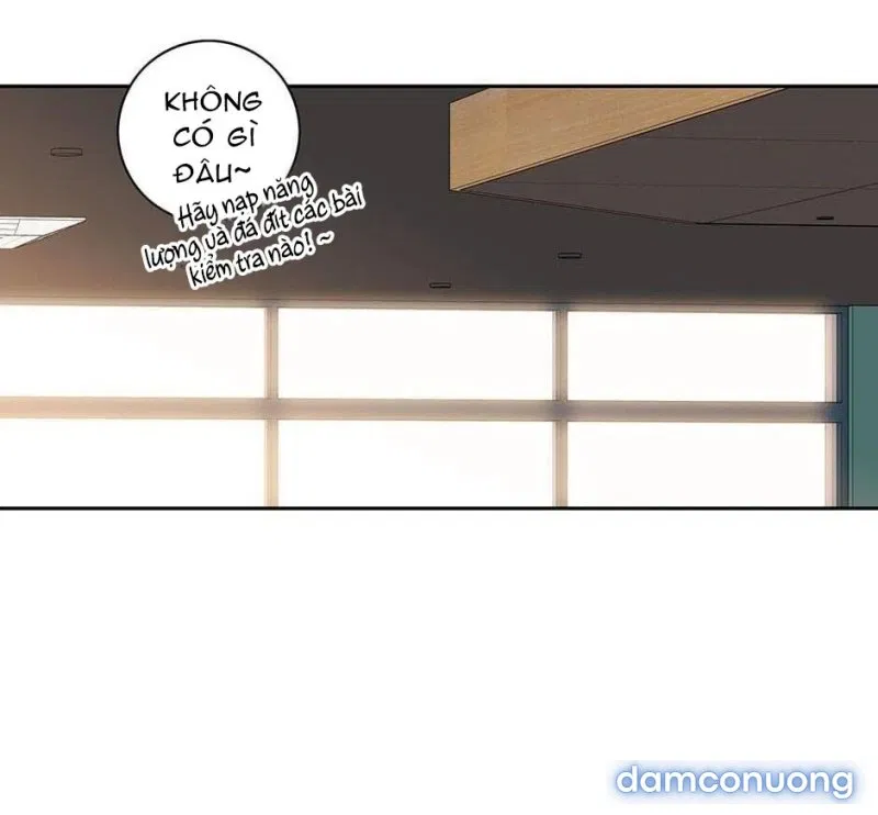 Toy Complex 