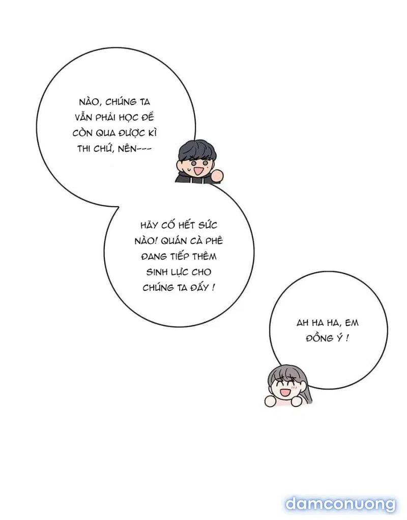 Toy Complex 
