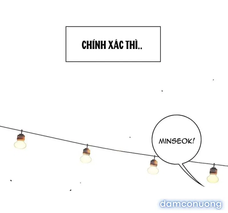 Toy Complex 