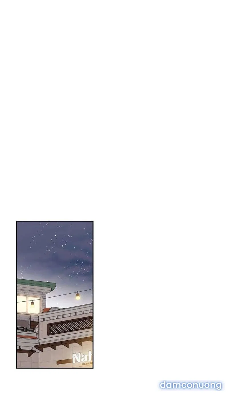 Toy Complex 