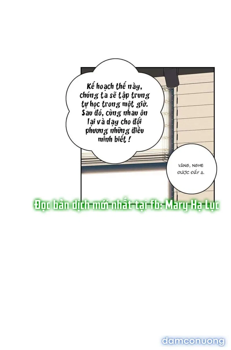 Toy Complex 