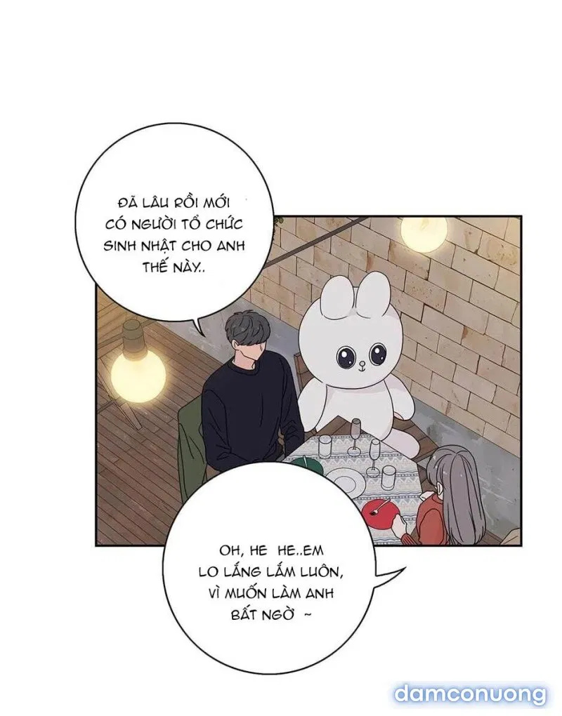 Toy Complex 