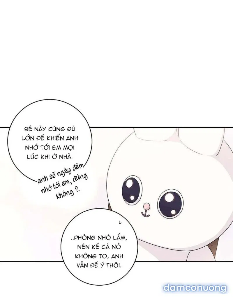 Toy Complex 