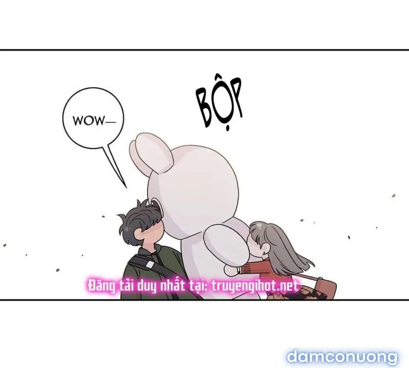 Toy Complex 