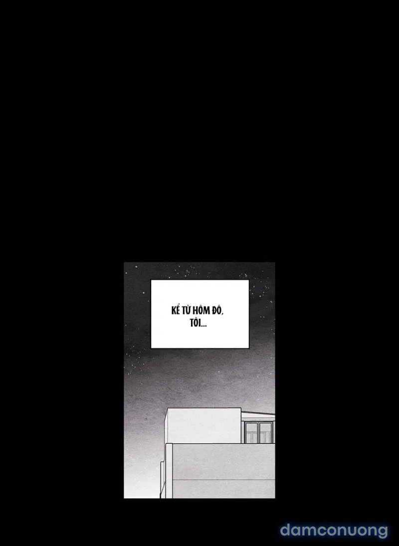 Toy Complex 