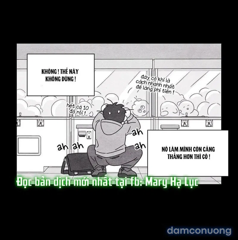 Toy Complex 