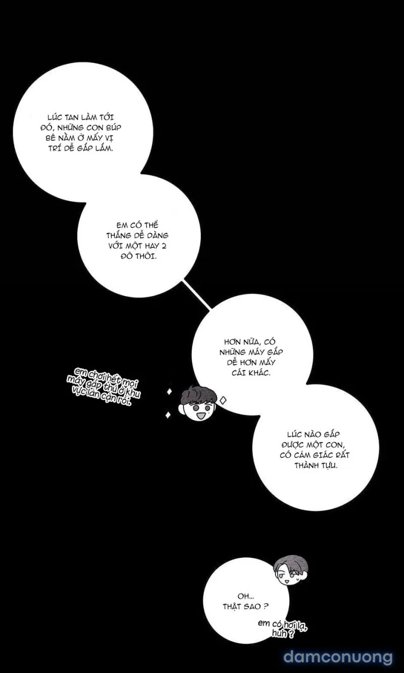 Toy Complex 