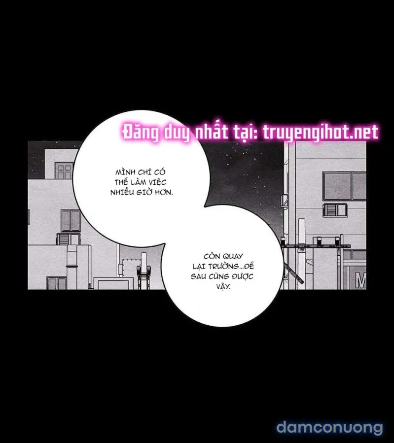 Toy Complex 