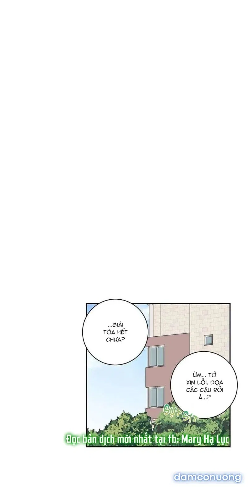 Toy Complex 