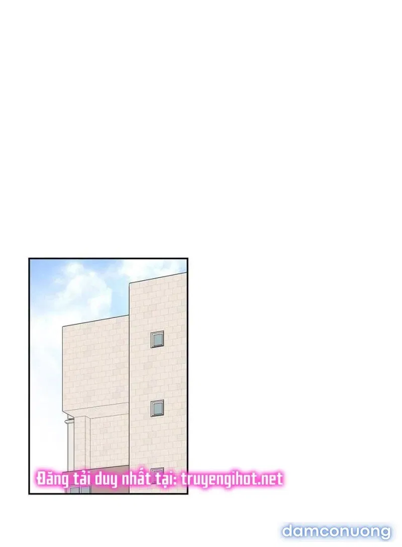 Toy Complex 