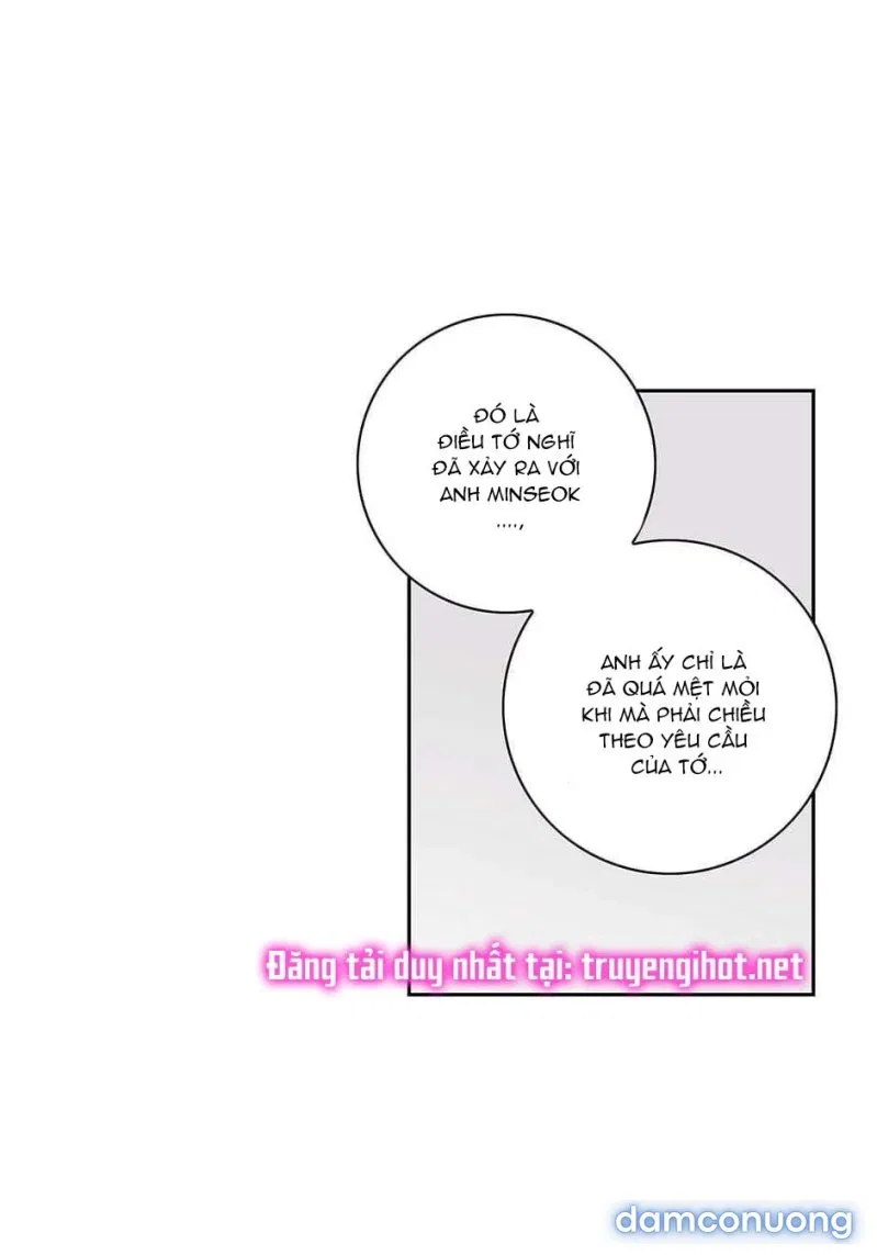 Toy Complex 
