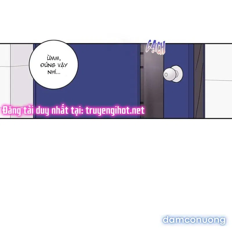 Toy Complex 