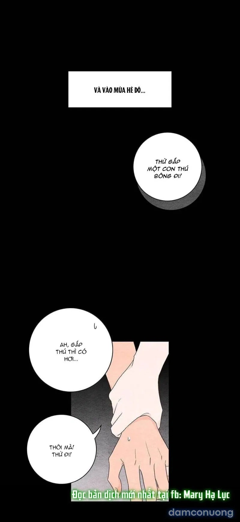 Toy Complex 