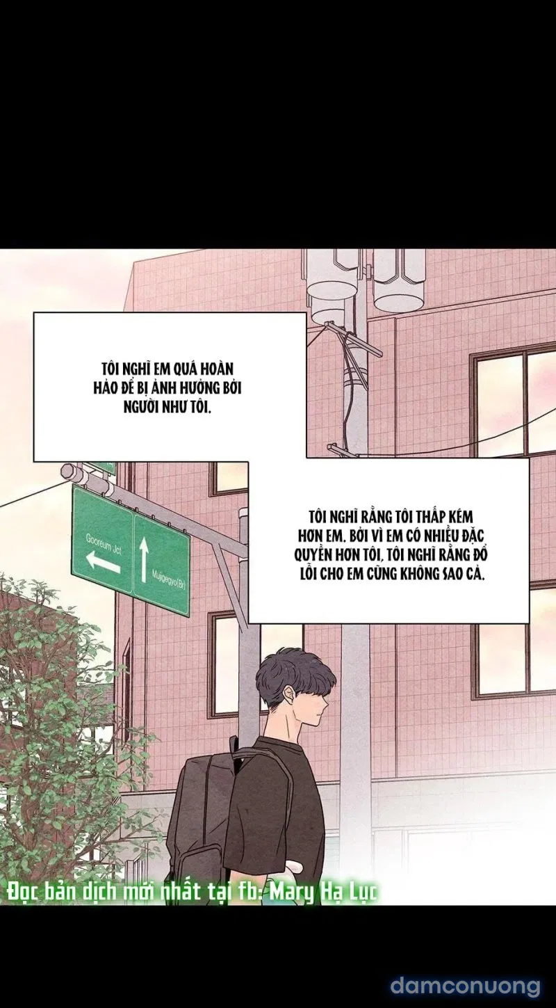 Toy Complex 