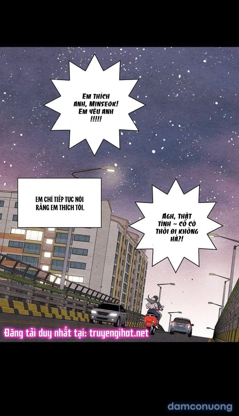 Toy Complex 