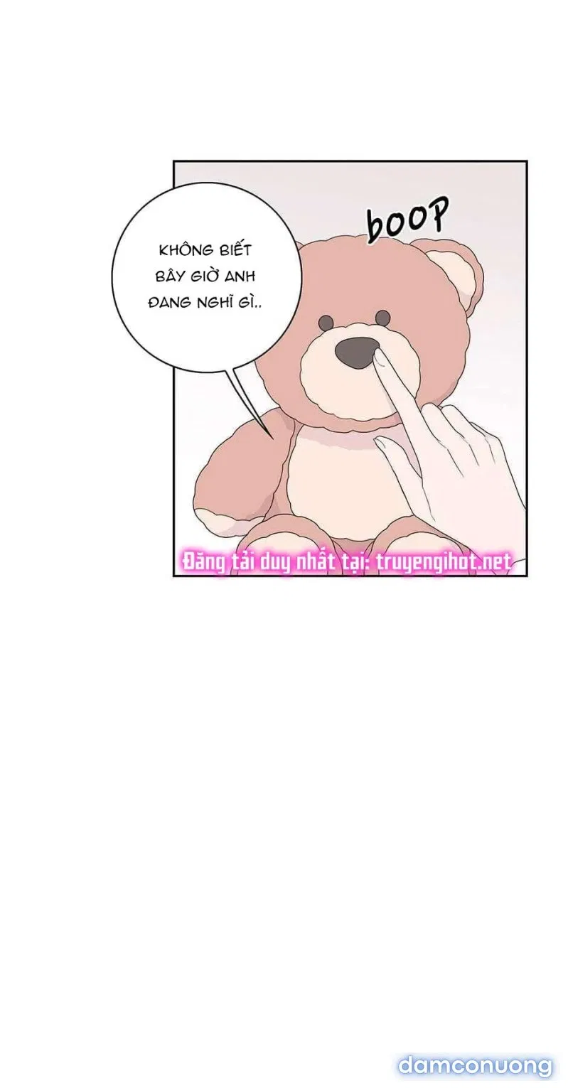 Toy Complex 
