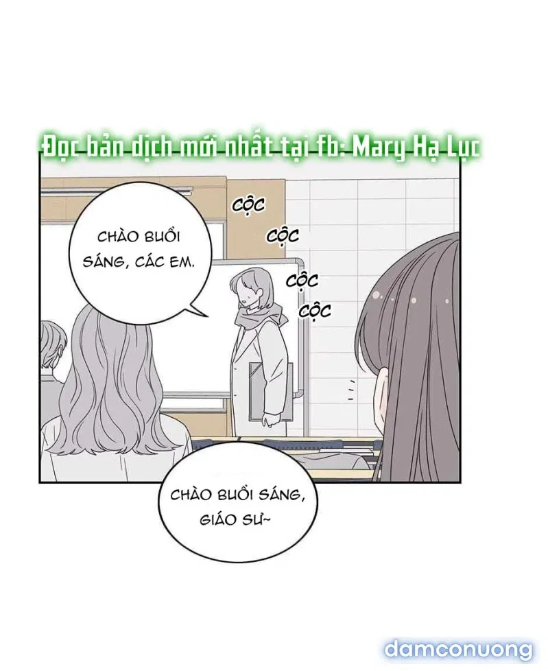 Toy Complex 