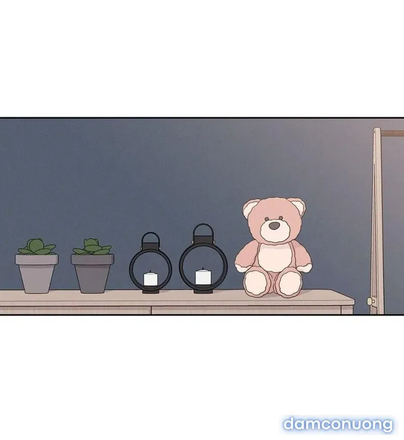 Toy Complex 