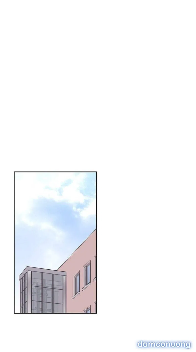 Toy Complex 