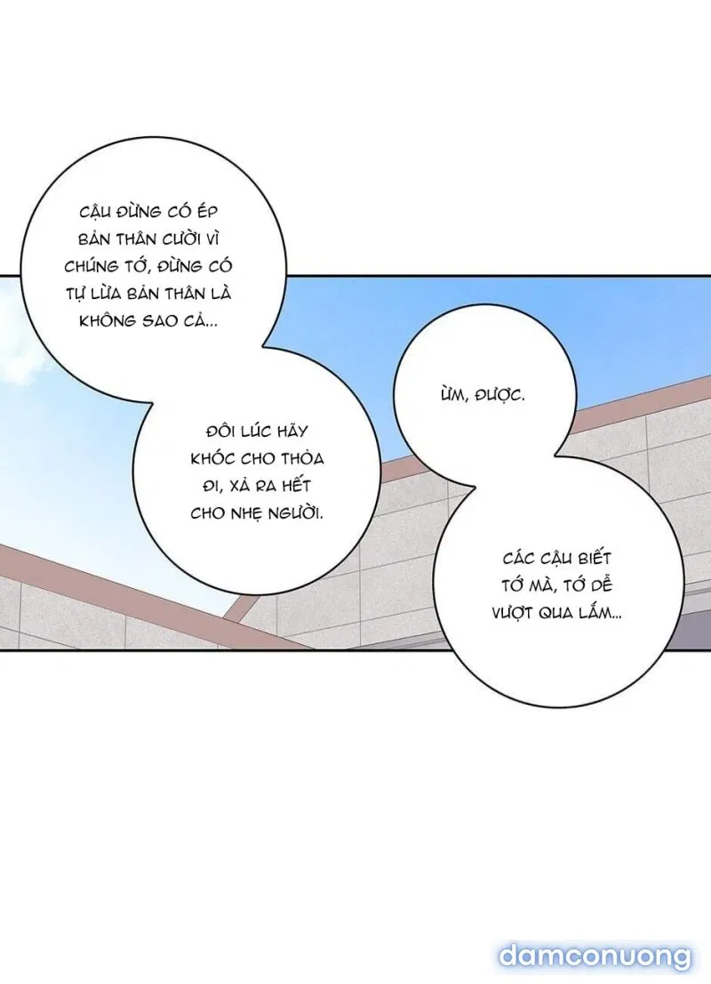 Toy Complex 