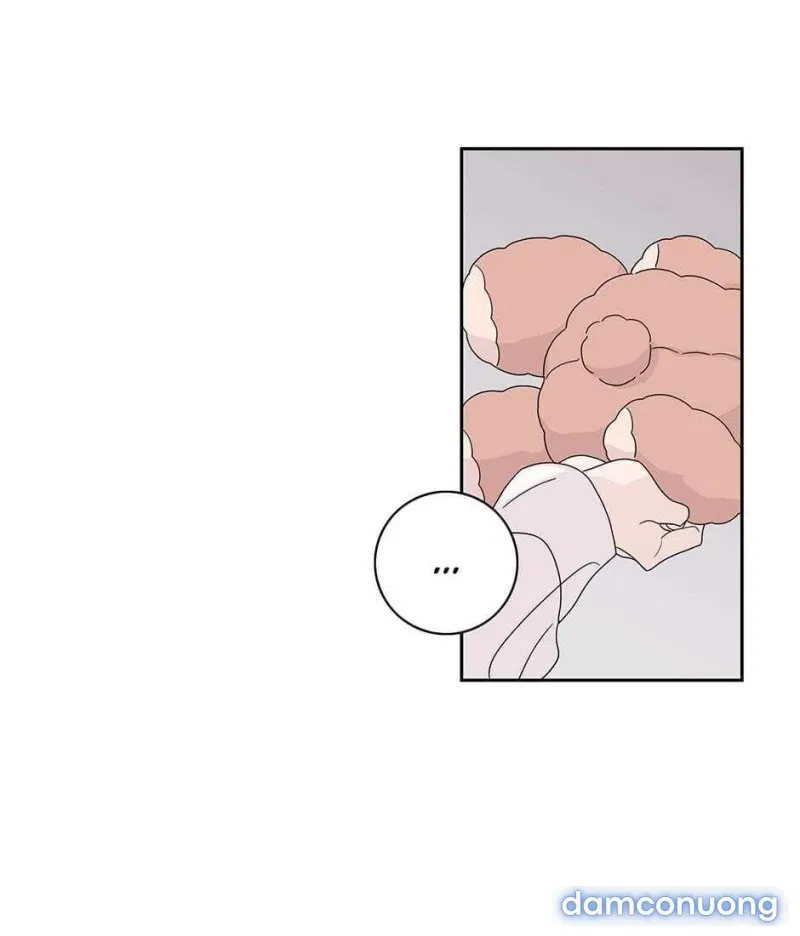 Toy Complex 