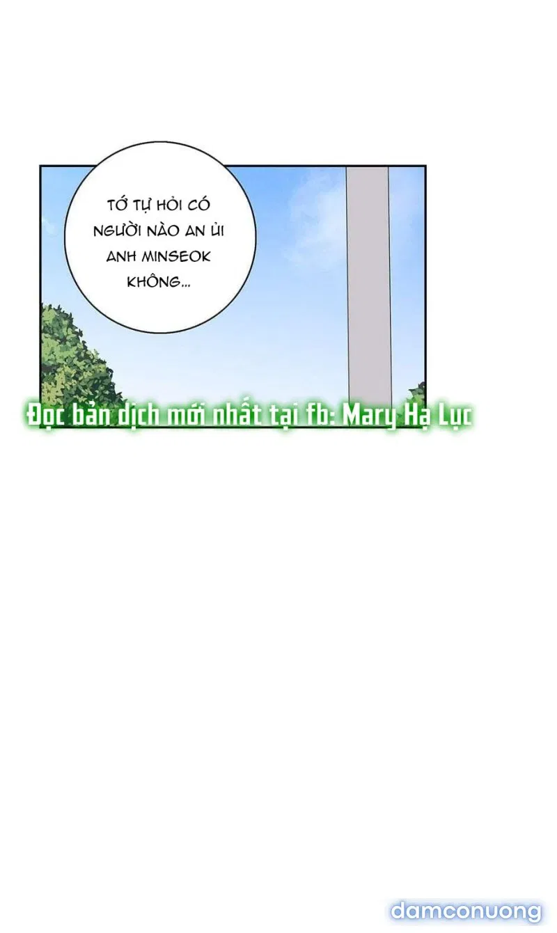 Toy Complex 