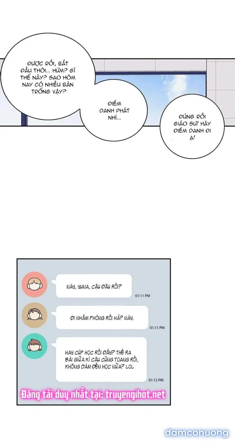 Toy Complex 