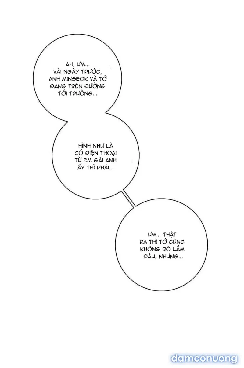 Toy Complex 